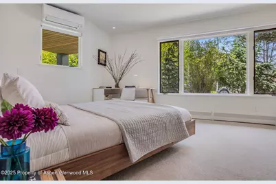 100 Park Avenue, Aspen, CO 81611 - Photo 29