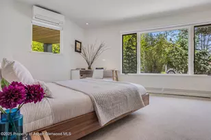 100 Park Ave, Aspen, CO 81611 - Photo 29