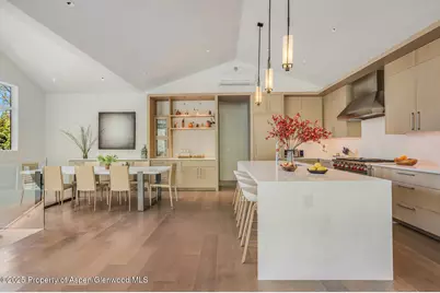 100 Park Avenue, Aspen, CO 81611 - Photo 7