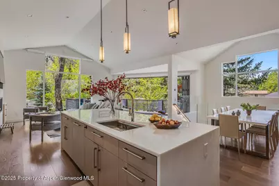 100 Park Avenue, Aspen, CO 81611 - Photo 11