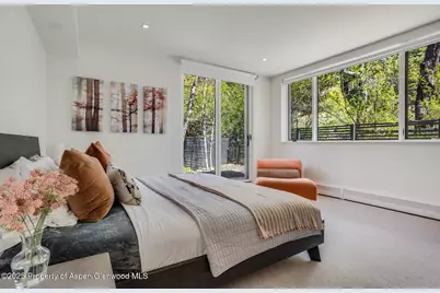 100 Park Avenue, Aspen, CO 81611 - Photo 23