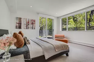 100 Park Ave, Aspen, CO 81611 - Photo 23