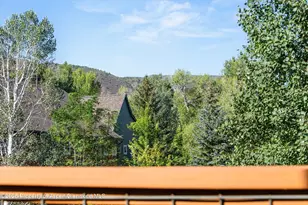 540 Evans Ct, Basalt, CO 81621 - Photo 11