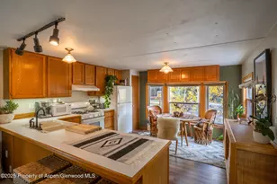 137 Ridge Trail, Aspen, CO 81611 - Photo 7