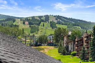120 Carriage Way, Snowmass Village, CO 81615 - Photo 3