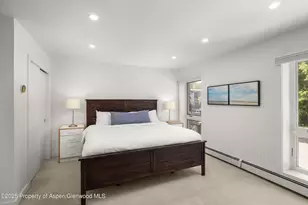 250 S Original St, Aspen, CO 81611 - Photo 11