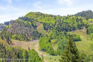 250 S Original St, Aspen, CO 81611 - Photo 19