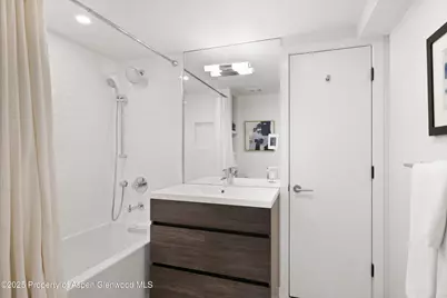 250 S Original Street #B, Aspen, CO 81611 - Photo 17