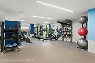 77 Wood Rd, Snowmass Village, CO 81615 - Photo 37