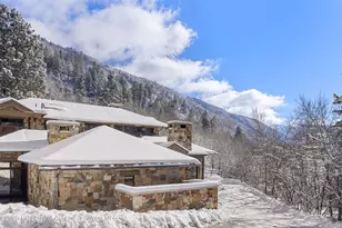 96 Mountain Laurel Ct, Aspen, CO 81611 - Photo 15