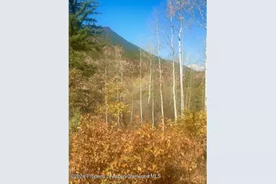 349 Crystal Circle, Carbondale, CO 81623 - Photo 17