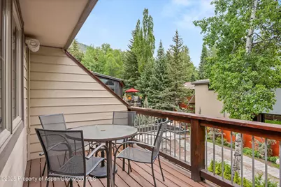 322 Park Avenue, Aspen, CO 81611 - Photo 13