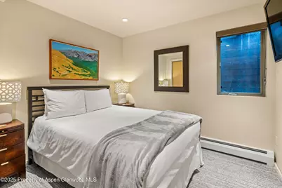 322 Park Avenue, Aspen, CO 81611 - Photo 19