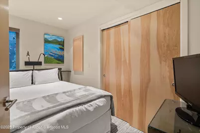 322 Park Avenue, Aspen, CO 81611 - Photo 21