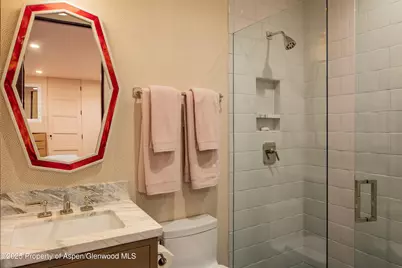 614 W North Street, Aspen, CO 81611 - Photo 21