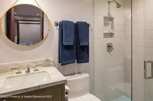 614 W North St, Aspen, CO 81611 - Photo 23