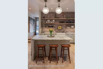 614 W North Street, Aspen, CO 81611 - Photo 15