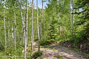 1234 Wood Rd, Snowmass Village, CO 81615 - Photo 67