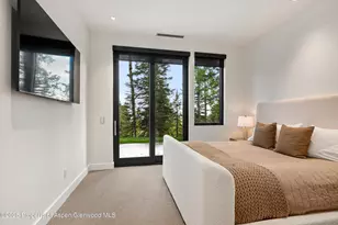 1234 Wood Rd, Snowmass Village, CO 81615 - Photo 47