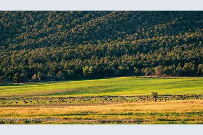10676 Bostwick Road, Montrose, CO 81401 - Photo 33