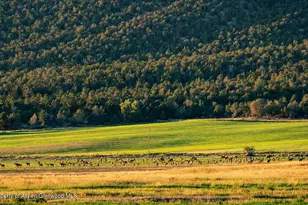 10676 Bostwick Rd, Montrose, CO 81401 - Photo 33