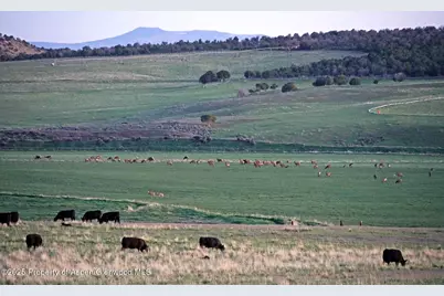 10676 Bostwick Road, Montrose, CO 81401 - Photo 17