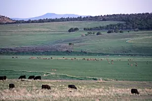 10676 Bostwick Rd, Montrose, CO 81401 - Photo 17