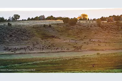 10676 Bostwick Road, Montrose, CO 81401 - Photo 37