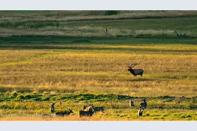 10676 Bostwick Road, Montrose, CO 81401 - Photo 41