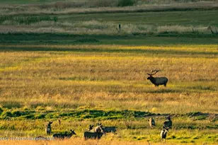 10676 Bostwick Rd, Montrose, CO 81401 - Photo 41