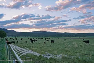 10676 Bostwick Rd, Montrose, CO 81401 - Photo 29