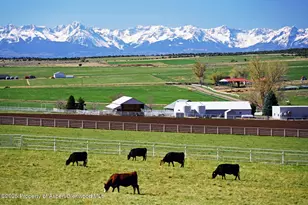 10676 Bostwick Rd, Montrose, CO 81401 - Photo 5