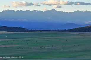 10676 Bostwick Rd, Montrose, CO 81401 - Photo 31