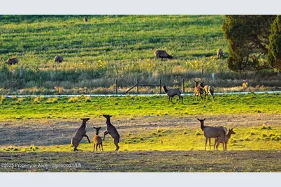 10676 Bostwick Road, Montrose, CO 81401 - Photo 35