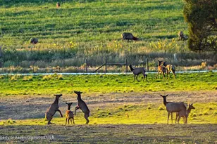 10676 Bostwick Rd, Montrose, CO 81401 - Photo 35