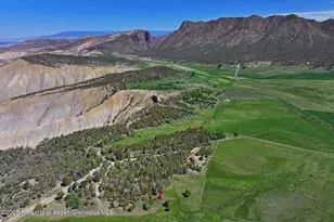 10676 Bostwick Rd, Montrose, CO 81401 - Photo 9