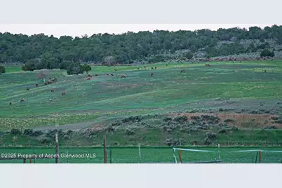 10676 Bostwick Road, Montrose, CO 81401 - Photo 25