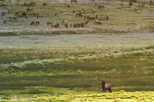 10676 Bostwick Rd, Montrose, CO 81401 - Photo 39