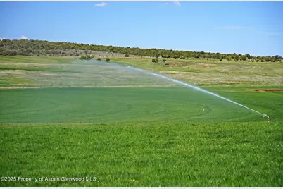 10676 Bostwick Road, Montrose, CO 81401 - Photo 23