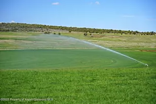 10676 Bostwick Rd, Montrose, CO 81401 - Photo 23