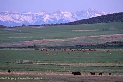 10676 Bostwick Road, Montrose, CO 81401 - Photo 3