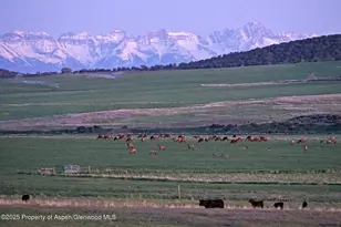 10676 Bostwick Rd, Montrose, CO 81401 - Photo 3