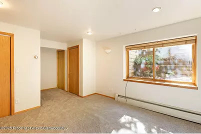 311 Midland Avenue, Aspen, CO 81611 - Photo 13
