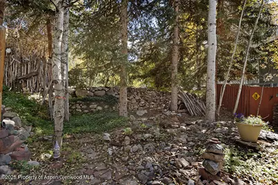 311 Midland Avenue, Aspen, CO 81611 - Photo 27