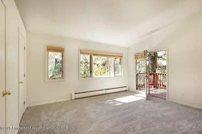 311 Midland Avenue, Aspen, CO 81611 - Photo 19