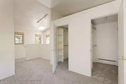 311 Midland Avenue, Aspen, CO 81611 - Photo 13