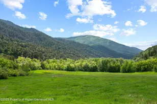 10715 Co Rd 245, New Castle, CO 81647 - Photo 13