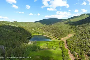 10715 Co Rd 245, New Castle, CO 81647 - Photo 25