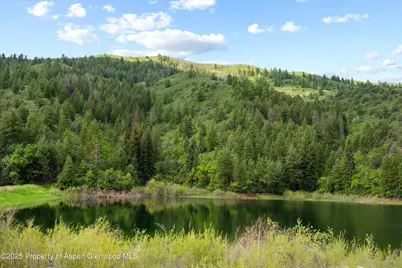 10715 County Road 245, New Castle, CO 81647 - Photo 15