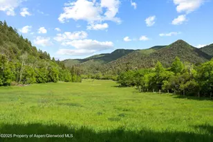 10715 Co Rd 245, New Castle, CO 81647 - Photo 11